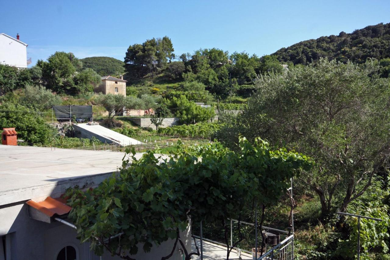 Family Friendly Apartments With A Swimming Pool Supetarska Draga - Donja, Rab - 2019 Exterior foto